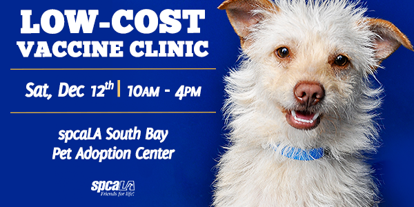 low cost animal vaccine clinic near me