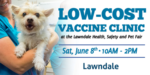 Low Cost Vaccine Clinic In Lawndale Spcala