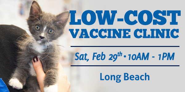 Low Cost Vaccine Clinic: Long Beach 