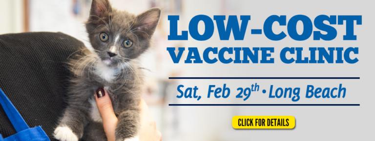 Low Cost Vaccine & Microchip Clinic Saturday, February 29th in Long